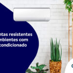 Plantas em ambientes com ar condicionado