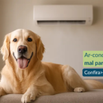 Ar-condicionado faz mal para cachorro? Descubra como garantir o conforto do seu pet