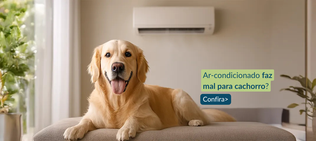 Cachorro deitado e ar-condicionado ao fundo